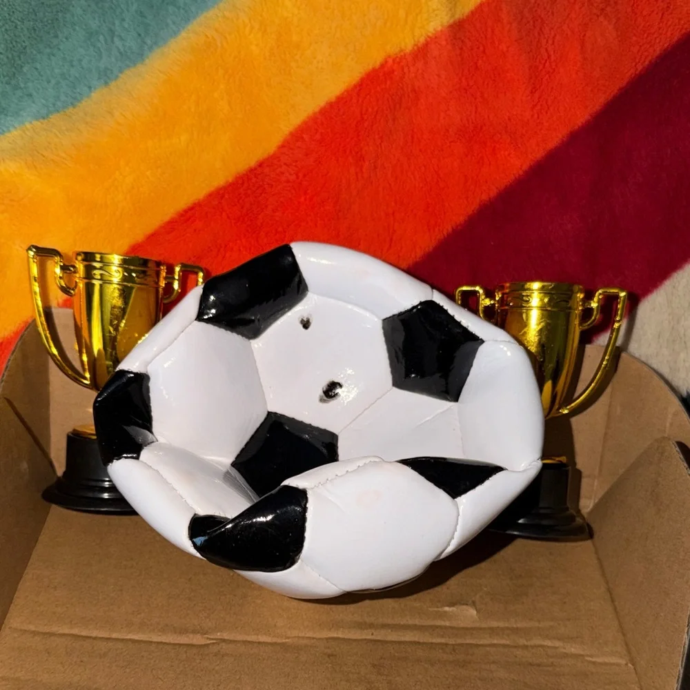 Soccer Ball Set with 1 Trophy cake topper